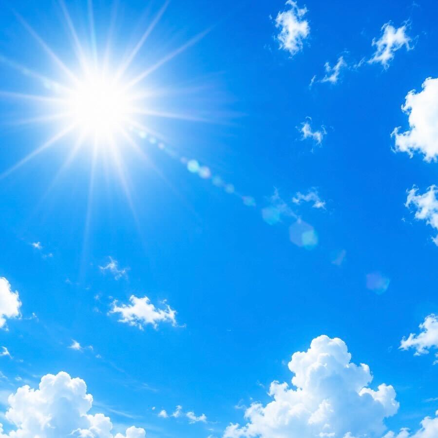 【その水やり、逆効果かも？】夏に注意したい水やりのポイント