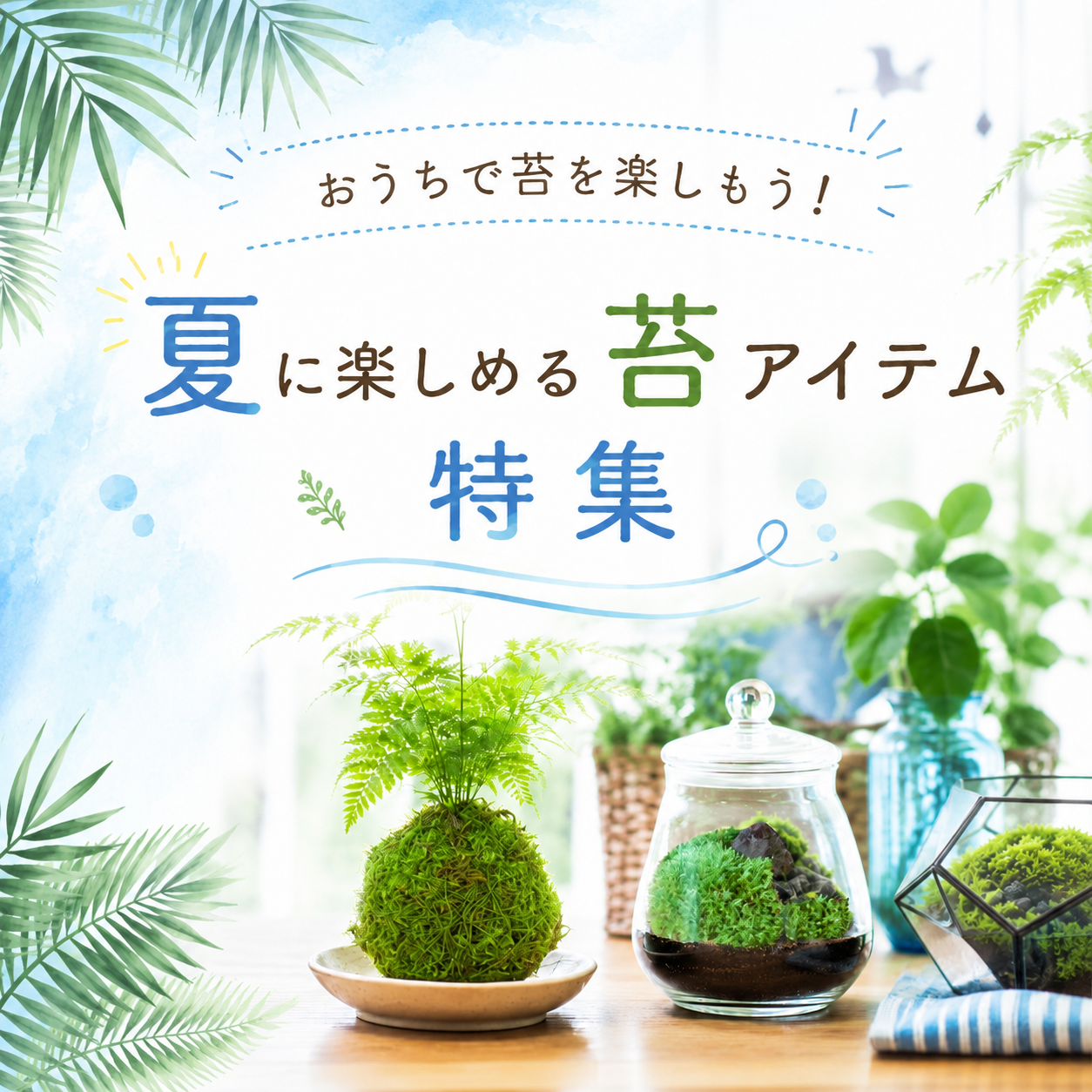 おうちで苔を楽しもう！夏に楽しめる苔アイテム特集🎐