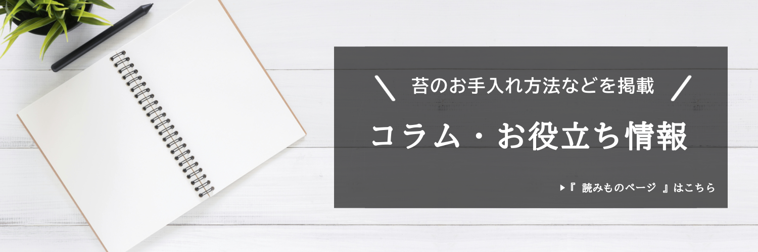 mf_speed_v3_20260928_column_topbanner.webp
