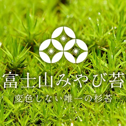 富士山みやび苔
