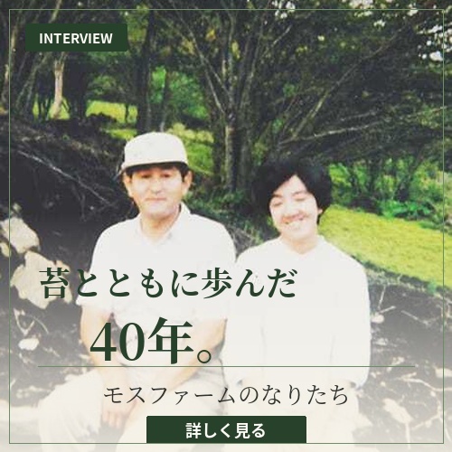 【苔とともに歩んだ40年】モスファームのなりたちインタビュー