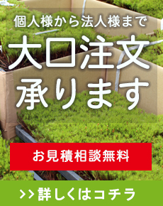 大口注文
