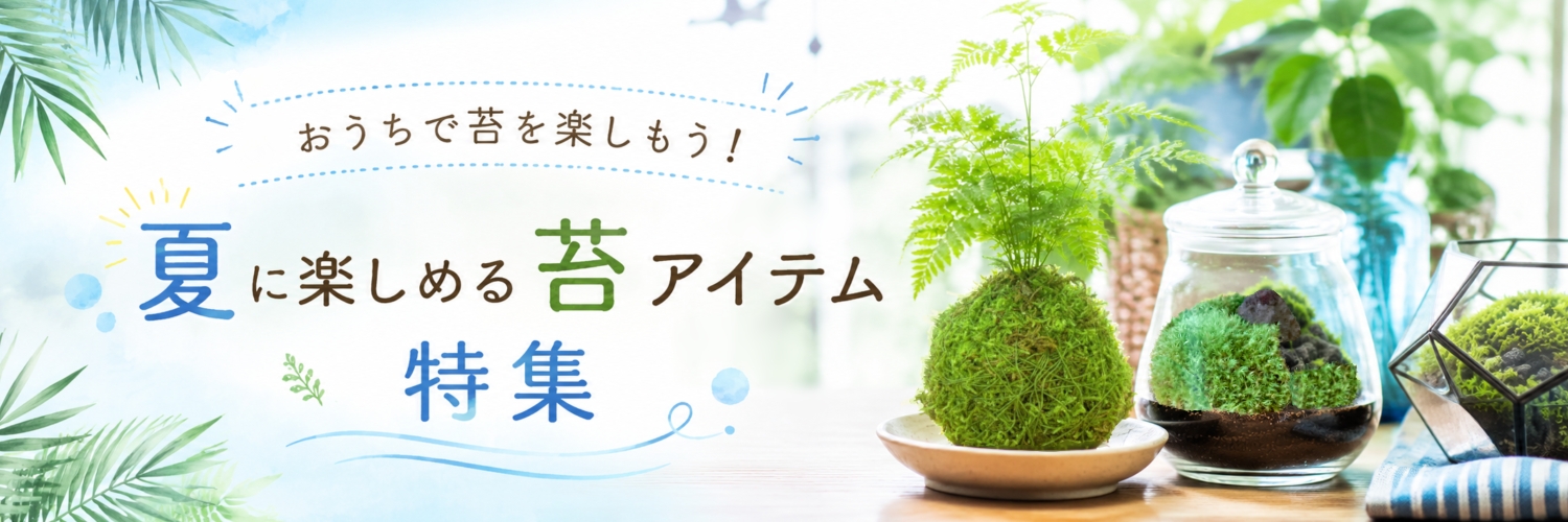 モスファーム 杉苔【杉苔並品8枚入り（約0.8平米）】 Amazon.co.jp: モス