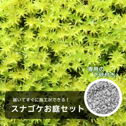 スナゴケお庭用セット