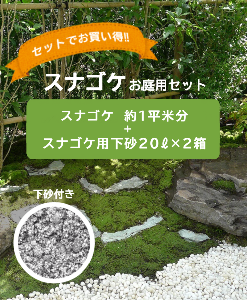 タチゴケミニパック（L）(256×189mm) | 苔の販売専門店モスファーム