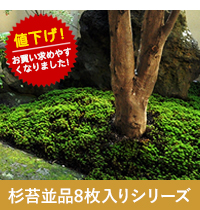 杉苔並品8枚入りシリーズ