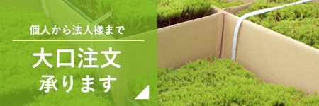 大口注文