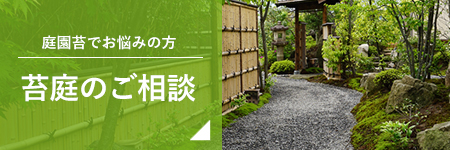 苔庭のご相談