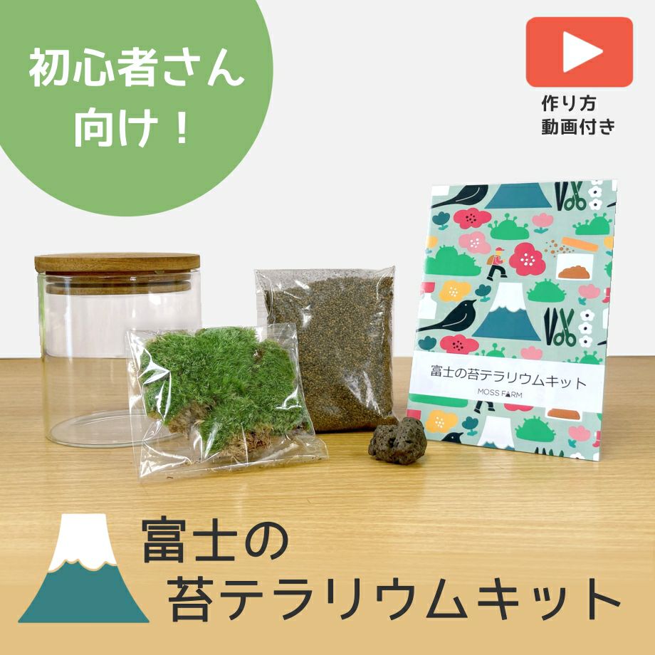 苔テラリウムキット | 苔の販売専門店モスファーム